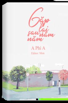 Gặp Lại Sau Năm Năm - A Phì A