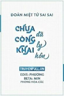 Chưa Công Khai Đã Ly Hôn